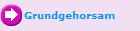 Grundgehorsam